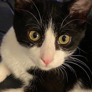 Meet your Posher, Nancy